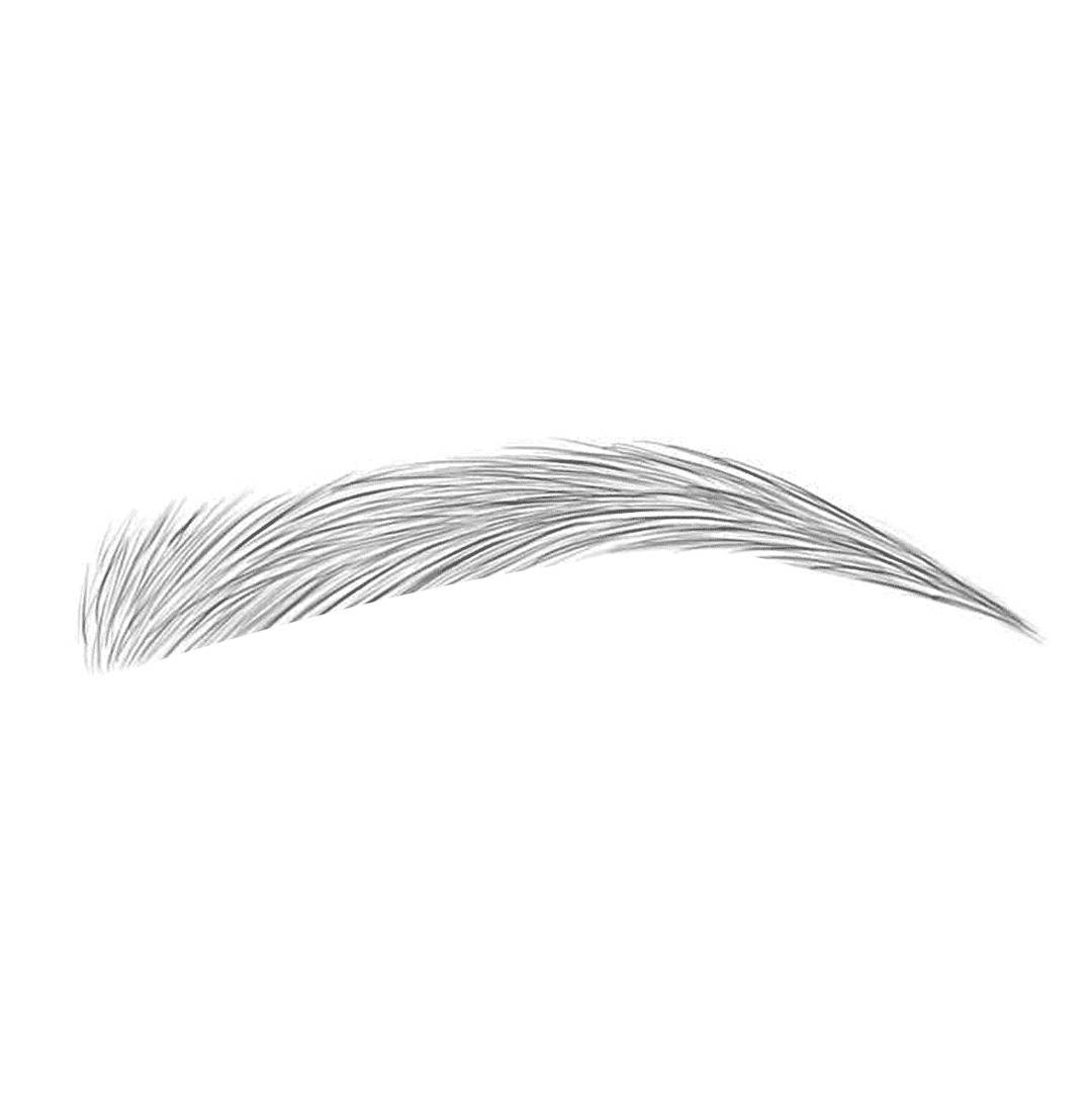 Illustration sourcil Brow by So